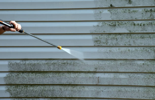 Best Pressure Washing Driveway  in Sughter, LA